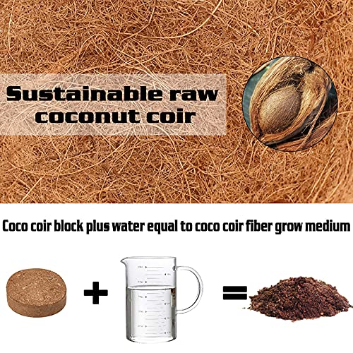 ZeeDix Coco Coir Potting Soil, 50pcs 30mm Compressed Coconut Fiber Seed Starter Soil Pellets, Coco Peat Soil Discs for Indoor Outdoor Plants, Herbs, Houseplants, Flowers, Succulents, Vegetables - Image 3