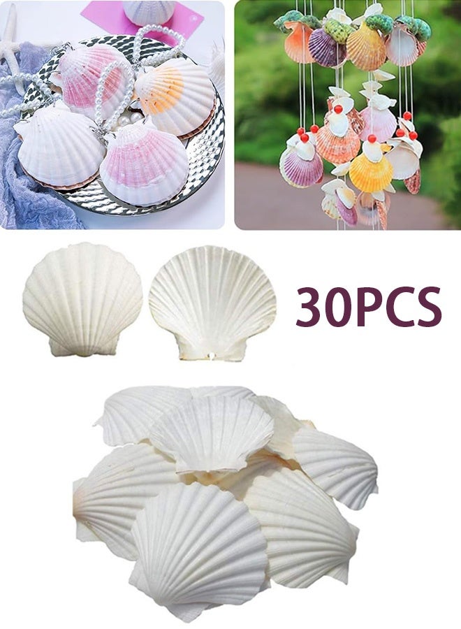 GMORO 30 pcs Natural Scallop Shells 2-3 inch White Sea Shells from Sea Beach for DIY Craft Home - Image 1