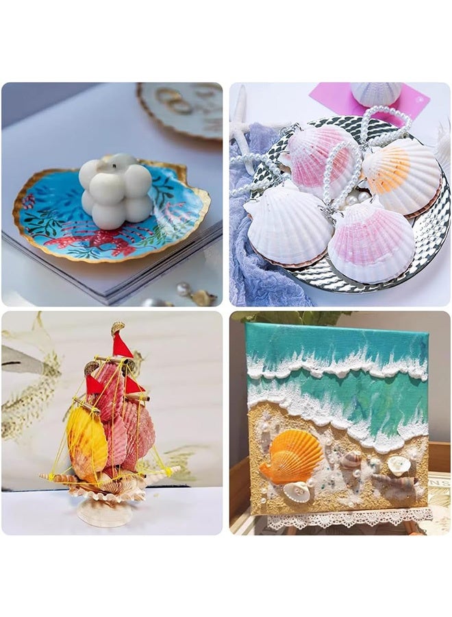 GMORO 30 pcs Natural Scallop Shells 2-3 inch White Sea Shells from Sea Beach for DIY Craft Home - Image 4