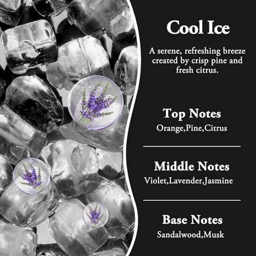 RoyAroma Hanging Car Air Fresheners, 2 Pack Long Lasting Automotive air fresheners up to 30-45 Days, Non Toxic Natural Fragrance Car Diffuser Freshener for Cars,Home,Office- Cool Ice - Image 2