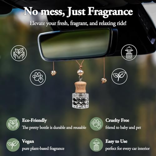 RoyAroma Hanging Car Air Fresheners, 2 Pack Long Lasting Automotive air fresheners up to 30-45 Days, Non Toxic Natural Fragrance Car Diffuser Freshener for Cars,Home,Office- Cool Ice - Image 3