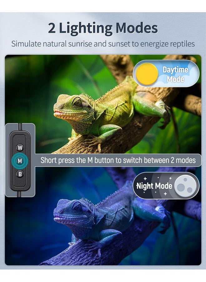 باوفلي مصباح Pawfly 6 W Terrarium Light Reptile LED لأحواض الزواحف التي يبلغ طولها من 6 إلى 10 بوصات مع أضواء بيضاء زرقاء حمراء لامعة كاملة الطيف مع أوضاع نهارية وليلية وسطوع قابل للتعديل  - Image 2