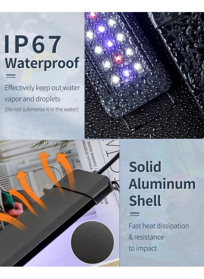 باوفلي مصباح Pawfly 6 W Terrarium Light Reptile LED لأحواض الزواحف التي يبلغ طولها من 6 إلى 10 بوصات مع أضواء بيضاء زرقاء حمراء لامعة كاملة الطيف مع أوضاع نهارية وليلية وسطوع قابل للتعديل  - Image 4