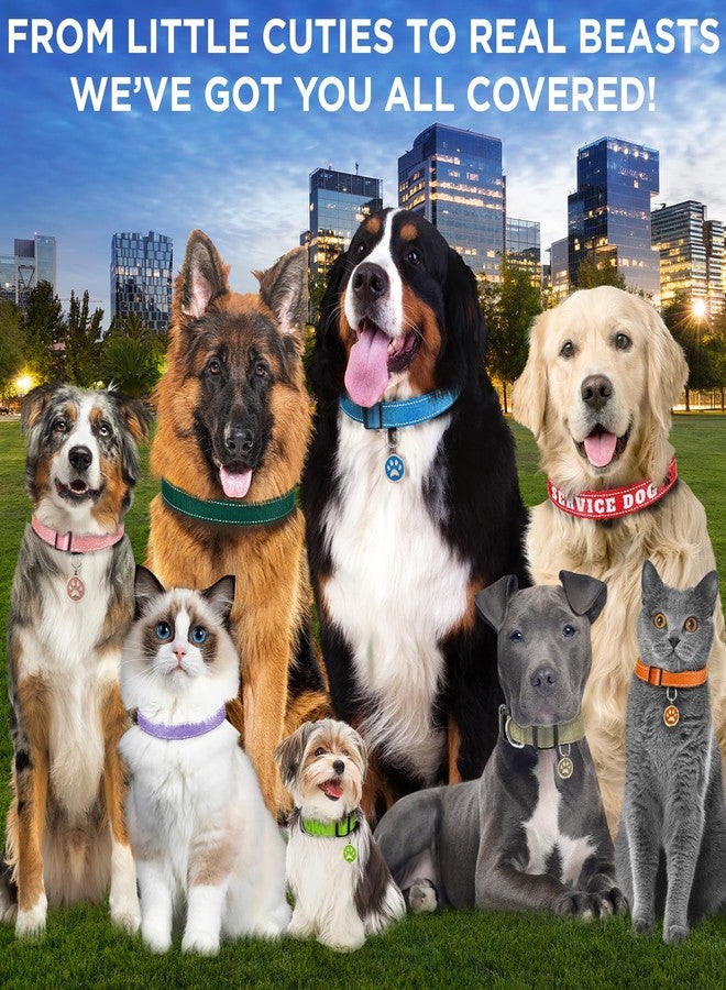 TECEUM Reflective Dog Collar - Dark Emerald Green - S - Extra Soft Padding - Basic Nylon Pet Collar - Quick Release Buckle - Fits Small, Medium and Large Dogs, Puppies, Cats - Image 5