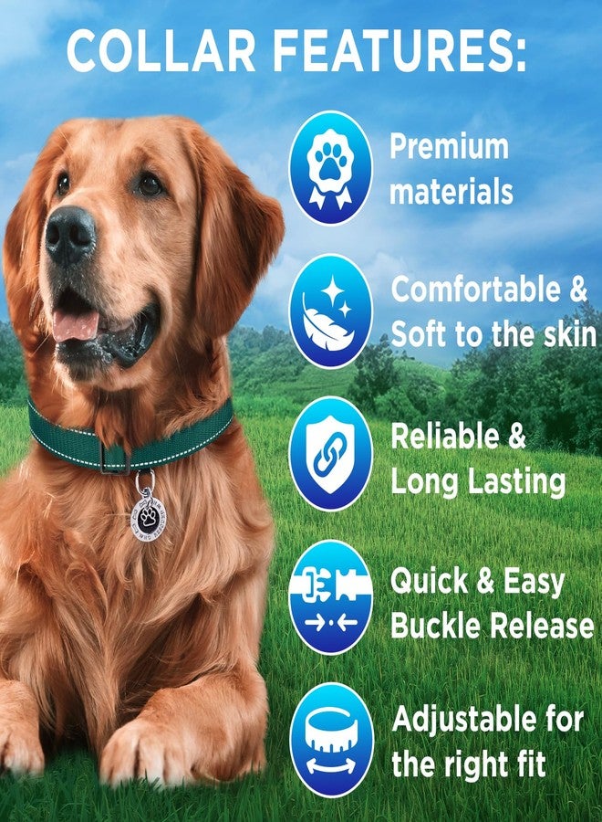 TECEUM Reflective Dog Collar - Dark Emerald Green - S - Extra Soft Padding - Basic Nylon Pet Collar - Quick Release Buckle - Fits Small, Medium and Large Dogs, Puppies, Cats - Image 3