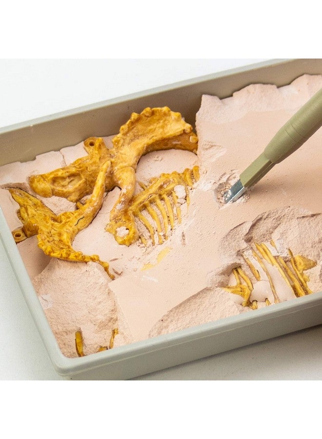 Science4you Triceratops Fossil Digging Kit For Kids Excavate And Assemble 10 Dinosaur Fossiles Dinosaur Toys For Boys And Girls Age 6+ Dino Games Dinosaur Gifts For 6+ Year Old Boys And Girls - Image 3