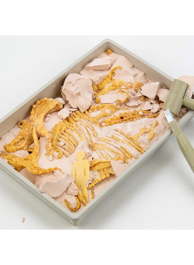 Science4you Triceratops Fossil Digging Kit For Kids Excavate And Assemble 10 Dinosaur Fossiles Dinosaur Toys For Boys And Girls Age 6+ Dino Games Dinosaur Gifts For 6+ Year Old Boys And Girls - Image 4