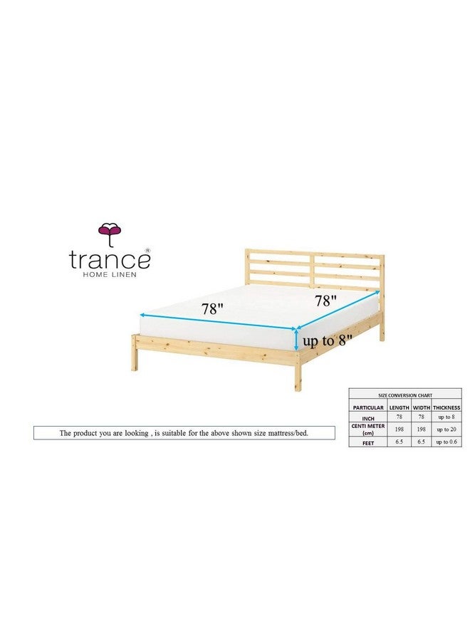 Trance Home Linen شراشف ترانس المنزل 100% قطن 180 TC 78"X78" ملاءة سرير سوبر كينغ | ملاءة مطبوعة | غطاء سرير مطاطي مع 2 غطاء وسادة (78X78 بوصة، سرخس أزرق) - Image 3