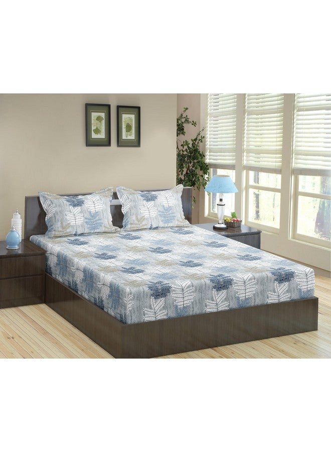 Trance Home Linen شراشف ترانس المنزل 100% قطن 180 TC 78"X78" ملاءة سرير سوبر كينغ | ملاءة مطبوعة | غطاء سرير مطاطي مع 2 غطاء وسادة (78X78 بوصة، سرخس أزرق) - Image 1
