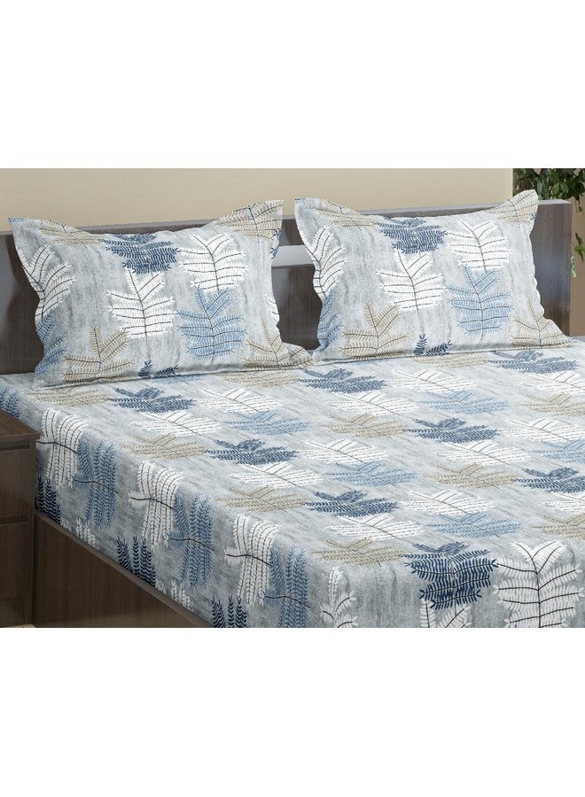 Trance Home Linen شراشف ترانس المنزل 100% قطن 180 TC 78"X78" ملاءة سرير سوبر كينغ | ملاءة مطبوعة | غطاء سرير مطاطي مع 2 غطاء وسادة (78X78 بوصة، سرخس أزرق) - Image 2