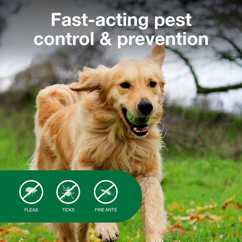 Advantage Yard & Premise Spray | Kills Fleas & Ticks & More | 32 oz. - Image 4