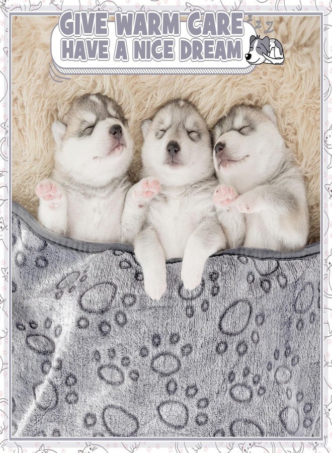 Tegeme 12 Pcs Pet Blankets Soft Fluffy Fleece Dog Cat Warm Paw Print Pattern Blankets Flannel Throw for Pets Dog Puppy Cat(23 x 16 Inch,Gray) - Image 5