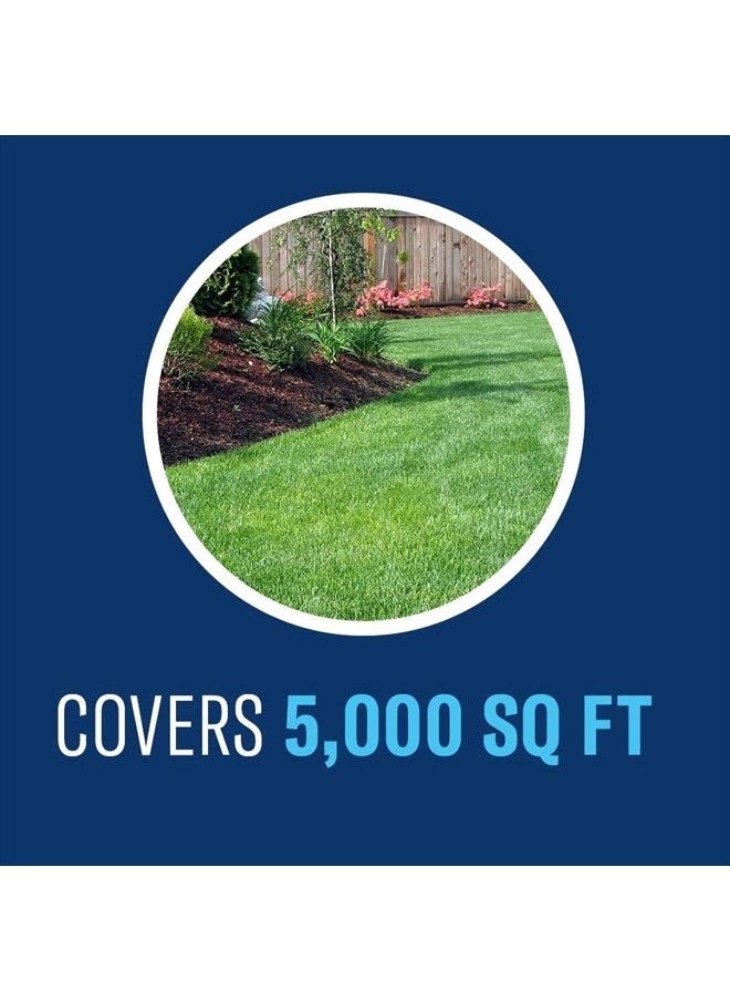 BioAdvanced - Fungus Control for Lawns, Ready-to-Spray, 32 oz - Image 1