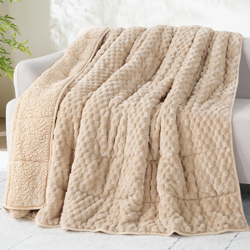 Drewin Weighted Blanket for Adults Queen Size 15lbs Soft Fuzzy Turtleback Sherpa Weighted Blankets for Sleeping Cozy Fluffy Heavy Blanket for Couch Bed 60 x 80 inches Beige - Image 2