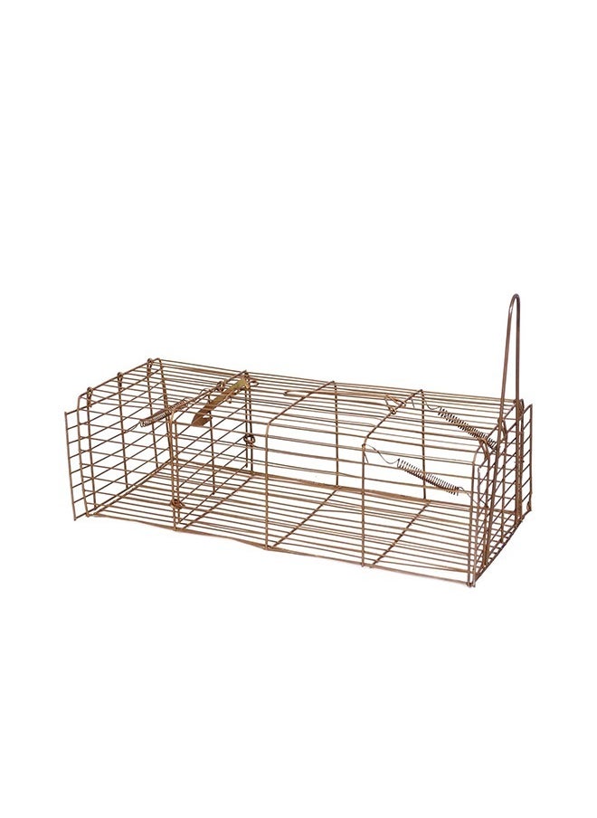 Generic Highly efficient wedding trap, larger in size, with two doors for easy entry and exit of the wedding, made of copper 