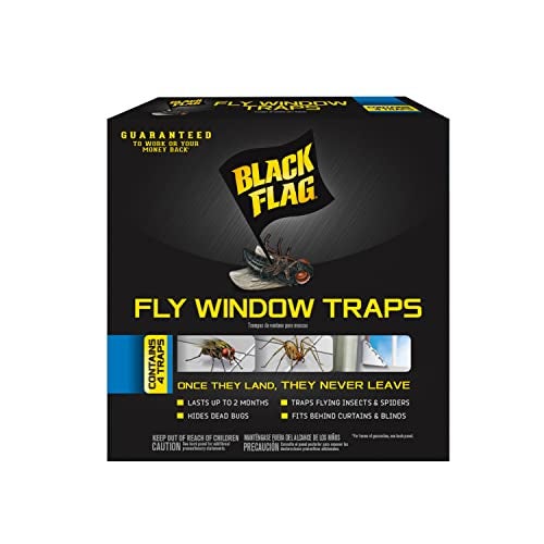 Black Flag, Fly Window Trap, 4-count, Clear - Image 1