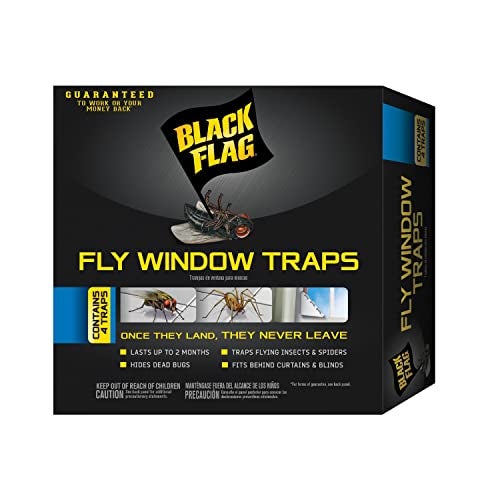 Black Flag, Fly Window Trap, 4-count, Clear - Image 4