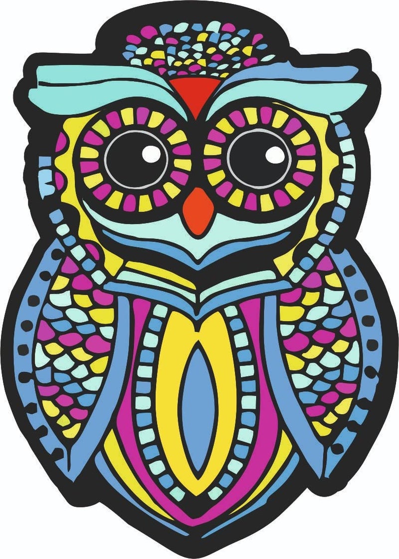 SKYWALK Colorful Owl Wooden Fridge Magnets for Gift and Home Decoration 582 - Image 3