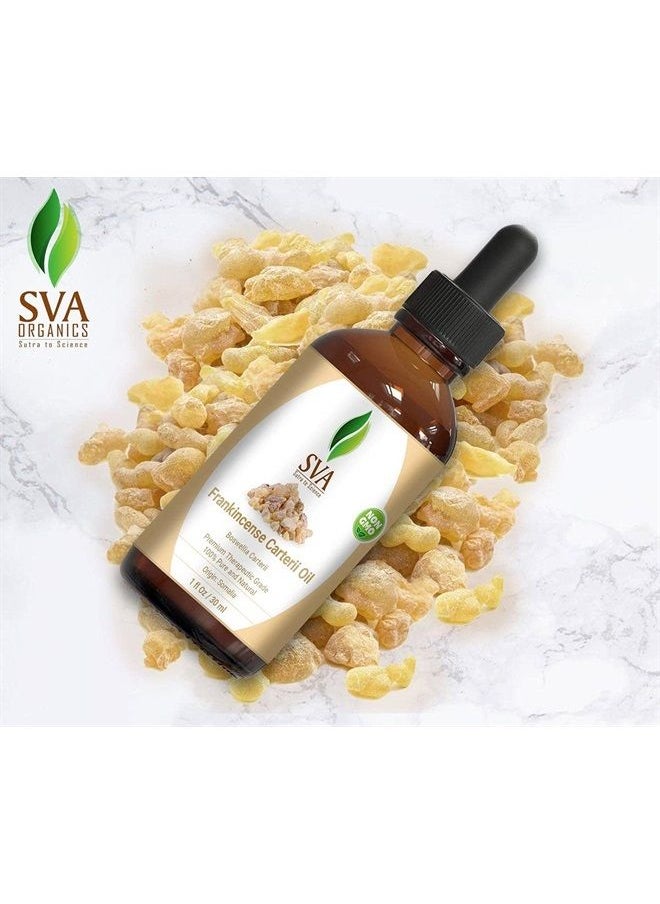 SVA Organics - SVA Frankincense Essential Oil 1 Oz (Boswelia Carterii) -100% Pure, Natural, Undiluted, Therapeutic Grade for Skin & Hair Care, Diffuser, Aromatherapy - Image 1