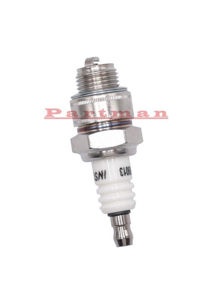 Partman Standard Engine Rebuild Kit for 5HP Engines - Image 5