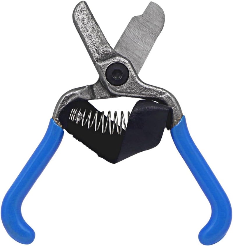 Zenport H322 Fruit Shears/Lemon Citrus Clippers with Strap, Forged Stainless Steel, 5.5-Inch Long - Image 1