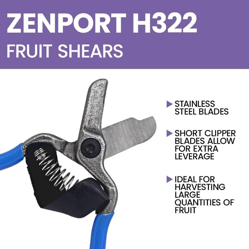 Zenport H322 Fruit Shears/Lemon Citrus Clippers with Strap, Forged Stainless Steel, 5.5-Inch Long - Image 3