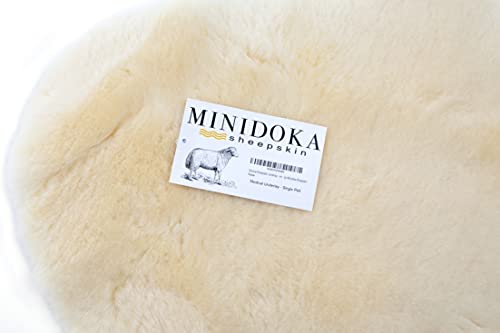 Desert Breeze Distributing Minidoka Sheepskin Underlay - Super Soft Plush Rugs - Medical Lambskin Underlay - Soft Fur Rug - Natural Lamb Sheepskin Rug - Large Size Natural Shape 41-inch Length - Gold - Image 3