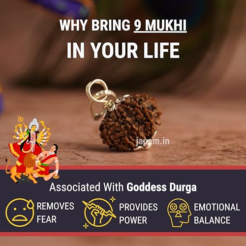 Japam 9 Mukhi Nepali Rudraksha - Nau Mukhi – 0.4 Inches Length - Image 2