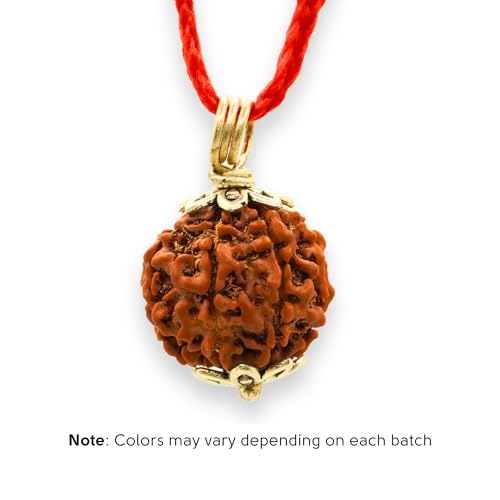 Japam 9 Mukhi Nepali Rudraksha - Nau Mukhi – 0.4 Inches Length - Image 4