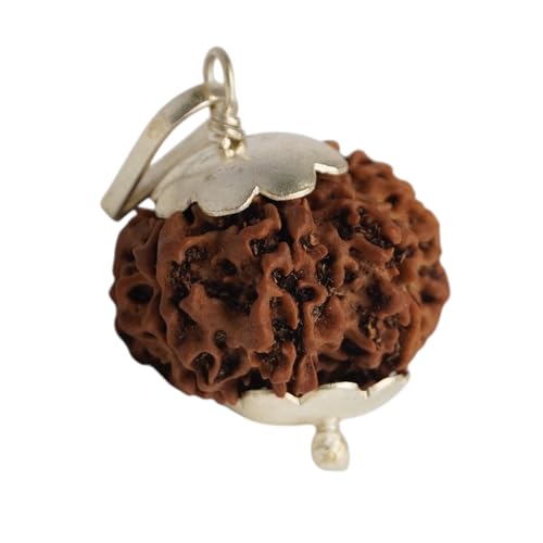 Japam 9 Mukhi Nepali Rudraksha - Nau Mukhi – 0.4 Inches Length - Image 1