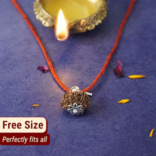 Japam 9 Mukhi Nepali Rudraksha - Nau Mukhi – 0.4 Inches Length - Image 5
