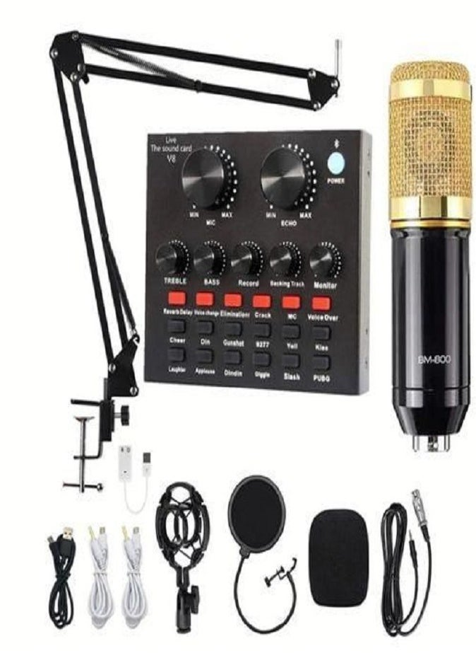 LIVVY - Professional Studio Microphone Set – V8 Sound Card, Adjustable Stand, Shock Mount, Pop Filter & More – Perfect for Recording, Streaming & Podcasting 🎧 - Image 1
