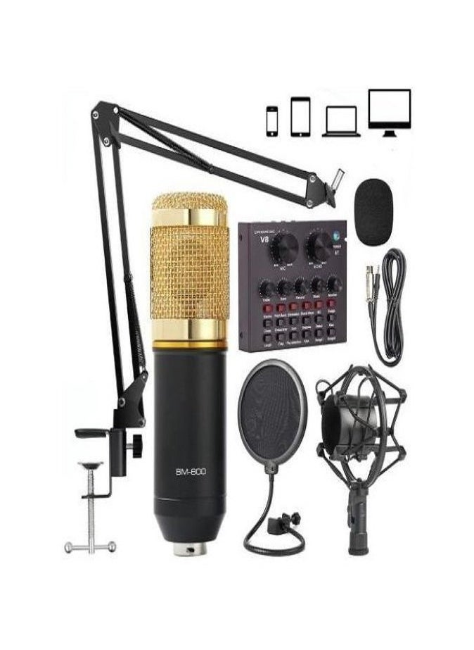 LIVVY - Professional Studio Microphone Set – V8 Sound Card, Adjustable Stand, Shock Mount, Pop Filter & More – Perfect for Recording, Streaming & Podcasting 🎧 - Image 1