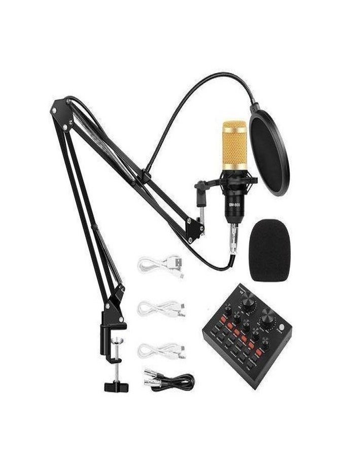 LIVVY - Professional Studio Microphone Set – V8 Sound Card, Adjustable Stand, Shock Mount, Pop Filter & More – Perfect for Recording, Streaming & Podcasting 🎧 - Image 1