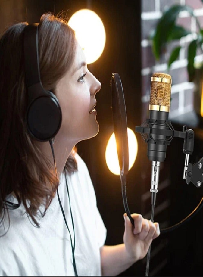 LIVVY Professional Studio Microphone Set – V8 Sound Card, Adjustable Stand, Shock Mount, Pop Filter & More – Perfect for Recording, Streaming & Podcasting 🎧  - Image 2