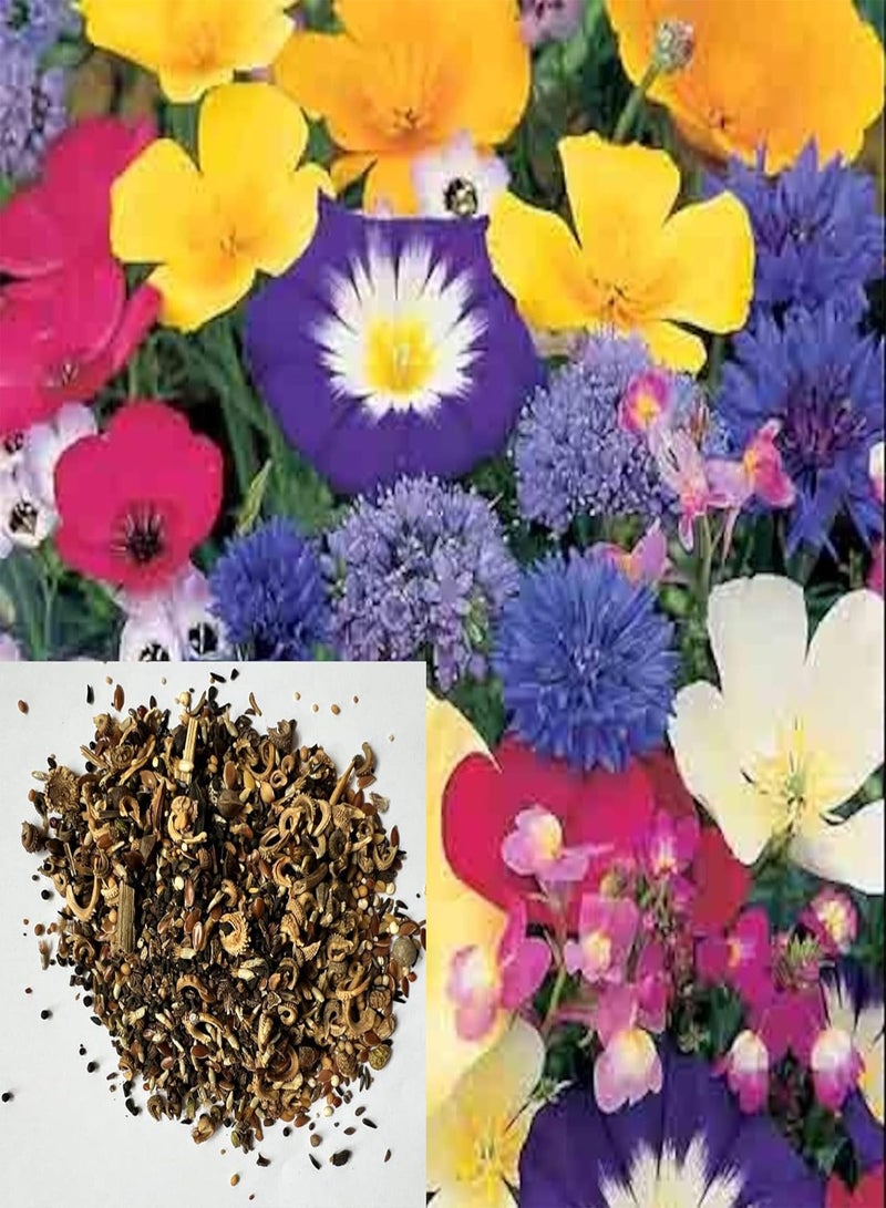 GGOOT Wild Flower Seeds UK Multi Color Gift Garden Butterfly Grow Your own More Than 21 Mix of Flowers in Pack Flowers Grow 20 cm to 60 cm (250g)  - Image 1