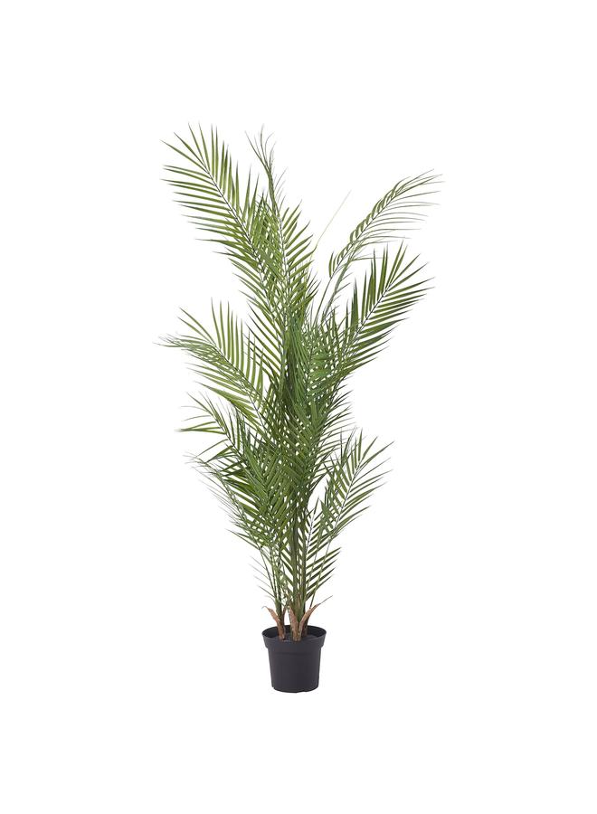 Zaboon Artificial potted plant, in/outdoor/Kentia palm, 15 cm - Image 1