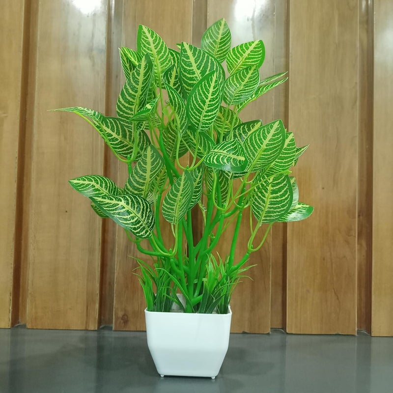 DECOGREEN DECOGREEN POTHOS Snow Lining SQ Pot Grass H Office Real Touch Money P Living Room Premium Design Bonsai Artificial Plant with Pot POTHOS Lining SQ Pot with Grass 