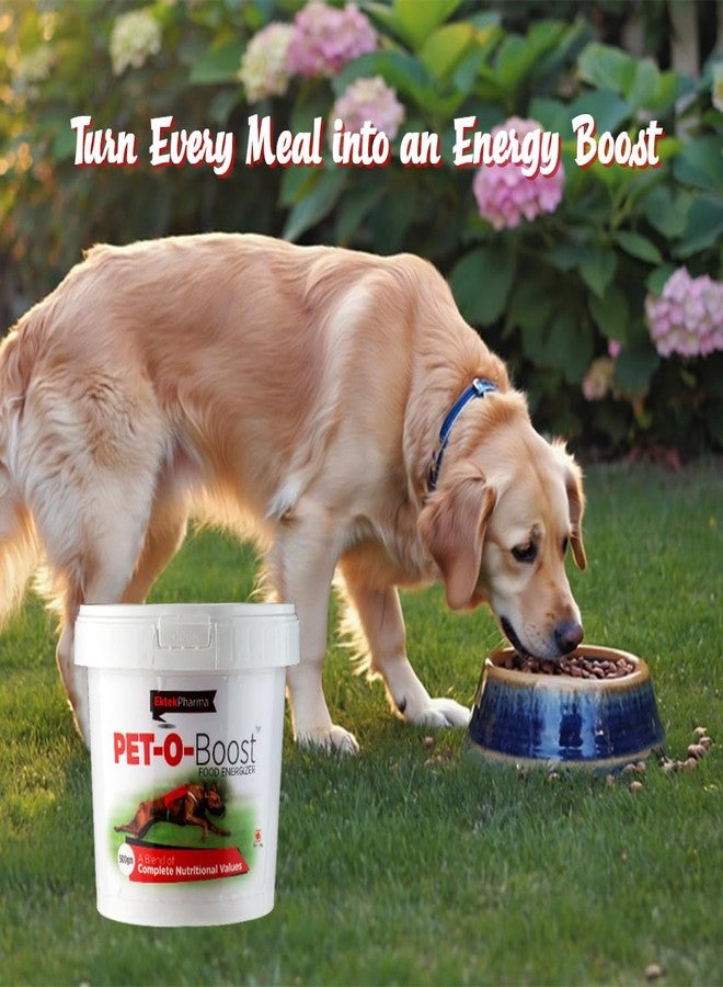 مسحوق مكمل غذائي Pet-O-Boost لزيادة الطاقة الغذائية للحيوانات الأليفة - 250 جم - إيكتيك جلوبال - Image 5