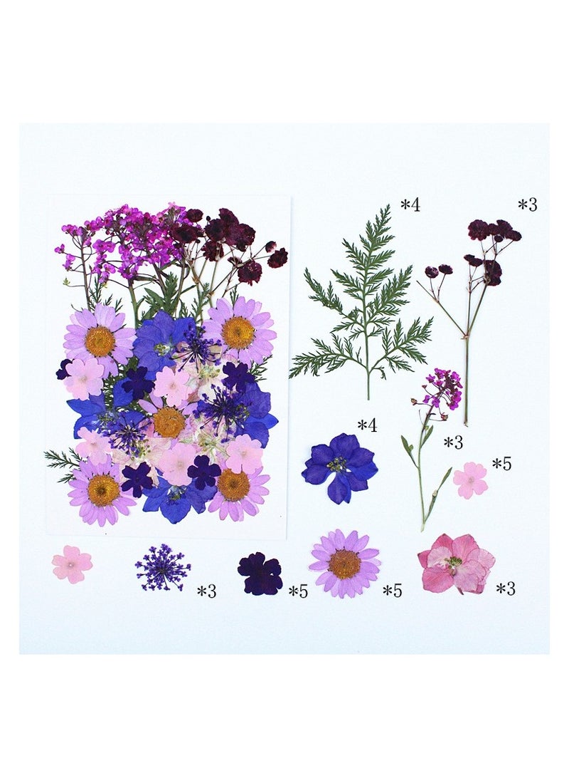 VIUAUAX 35Pcs Dried Pressed Flowers for Resin, Real Pressed Flowers Dry Leaves Bulk Natural Herbs Kit for Scrapbooking DIY Art Crafts, Epoxy Resin Jewelry Molds, Candle, Soap Making, Nails Décor - Image 1