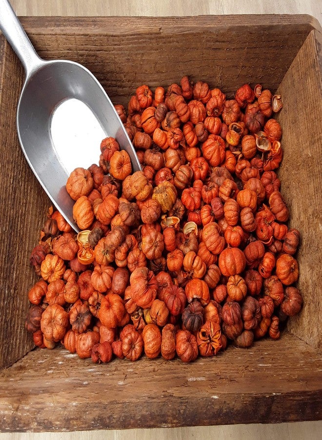 أون ذا برايت سايد كبسولات اليقطين البرتقالية الصغيرة من "أون ذا برايت سايد" (كبسولات اليقطين) للبوتفوريه وملء الأوعية، 4 أكواب ممتلئة - Image 2