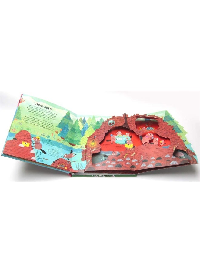 Pop Inside: Animal Homes - Image 4