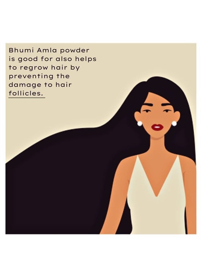 SVATV - Bhumi Amla Powder, Phyllanthus Niruri & Chanca Piedra 8 oz - Image 1