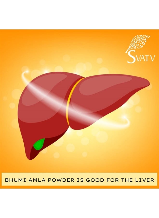 SVATV - Bhumi Amla Powder, Phyllanthus Niruri & Chanca Piedra 8 oz - Image 1
