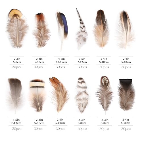 whitefeather Natural Feathers Bulk -360PCS - 12 Styles Assorted Small Natural Feathers, Peacock Feathers, Pheasant Feathers, Turkey Feathers for DIY Crafts, Wedding, Crafting Supplies - Image 2
