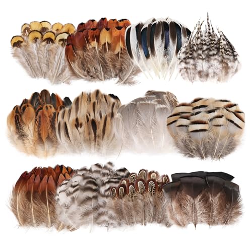 whitefeather Natural Feathers Bulk -360PCS - 12 Styles Assorted Small Natural Feathers, Peacock Feathers, Pheasant Feathers, Turkey Feathers for DIY Crafts, Wedding, Crafting Supplies - Image 1