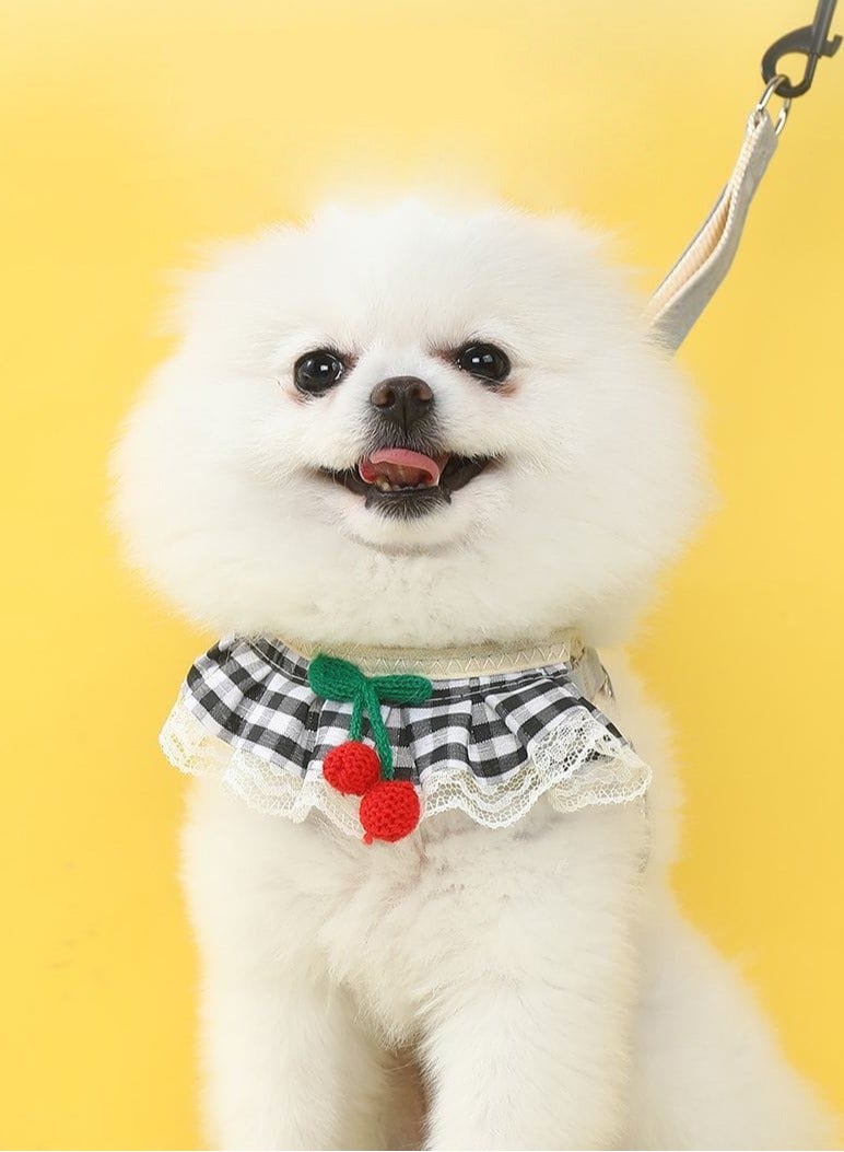 A.M Adorable Dog Harness, Adjustable Dog Harness for Small Medium Dogs No Pull, Small Dog Harness with Leash, Easy Walk Dog Harness, Breathable Soft Mesh No Choke Dog Harness Puppy Cat Harness - Image 1