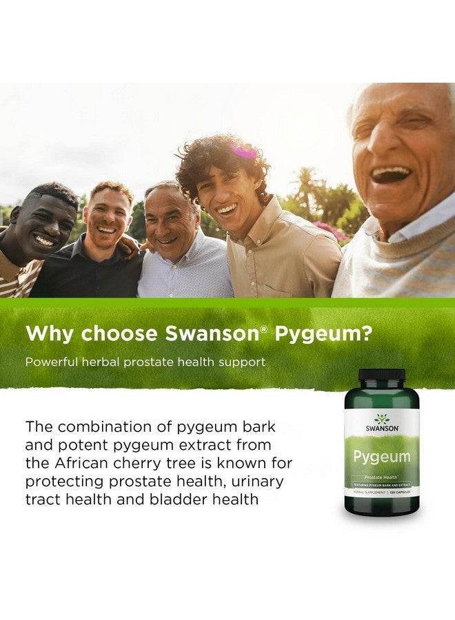 Swanson Pygeum - Herbal Supplement - Men's Health Supplement - (120 Capsules Each, 400 mg) (3 Pack) - Image 4