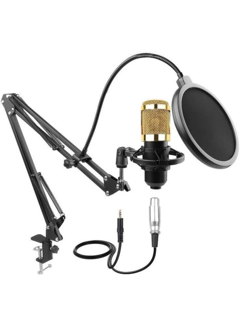 Legendary Live Broadcast Microphone, Set Condenser Computer Audio/KTV 3.5mm Wired Sound Recording Condenser Microphone MIC V8 Sound Card with KIT - Image 1