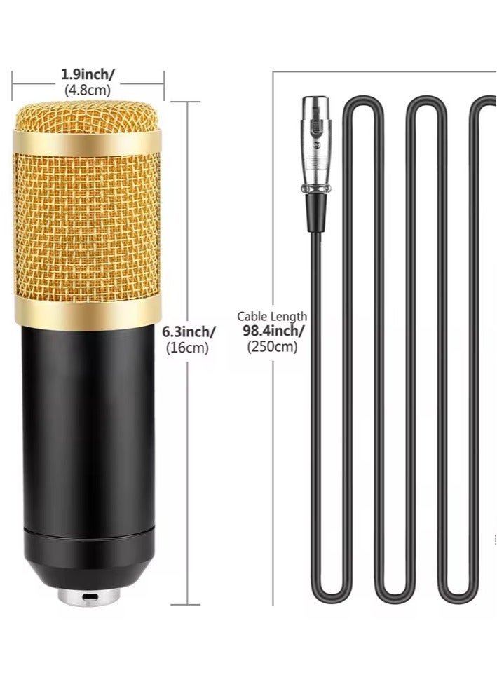 Legendary Live Broadcast Microphone, Set Condenser Computer Audio/KTV 3.5mm Wired Sound Recording Condenser Microphone MIC V8 Sound Card with KIT - Image 3